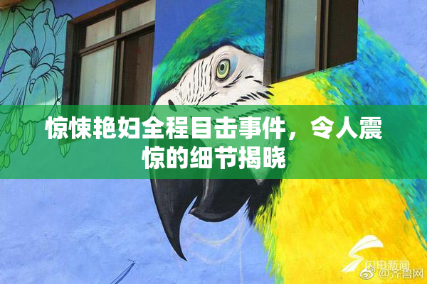 惊悚艳妇全程目击事件，令人震惊的细节揭晓