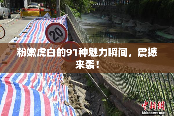 粉嫩虎白的91种魅力瞬间，震撼来袭！