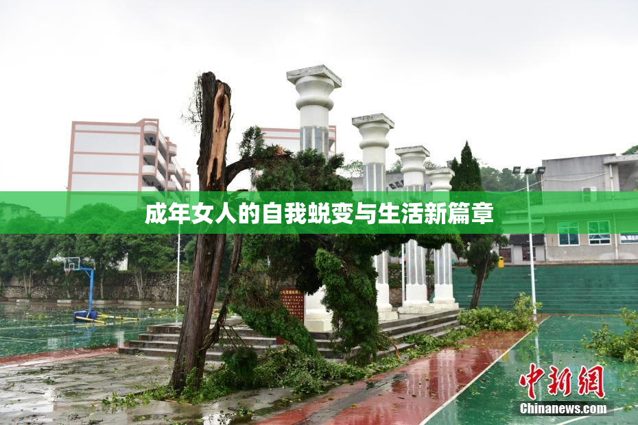 成年女人的自我蜕变与生活新篇章