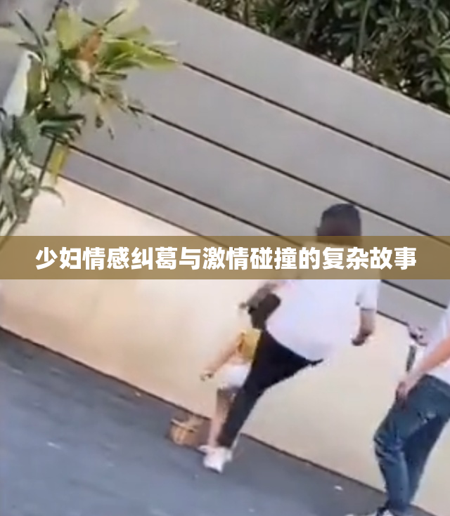 少妇情感纠葛与激情碰撞的复杂故事