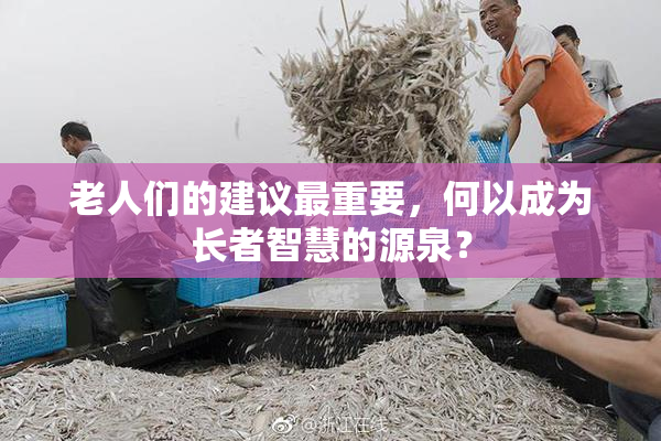 老人们的建议最重要，何以成为长者智慧的源泉？