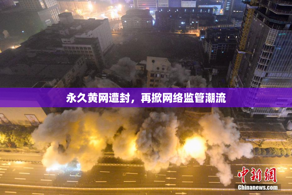 永久黄网遭封，再掀网络监管潮流