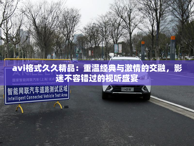 avi格式久久精品：重温经典与激情的交融，影迷不容错过的视听盛宴