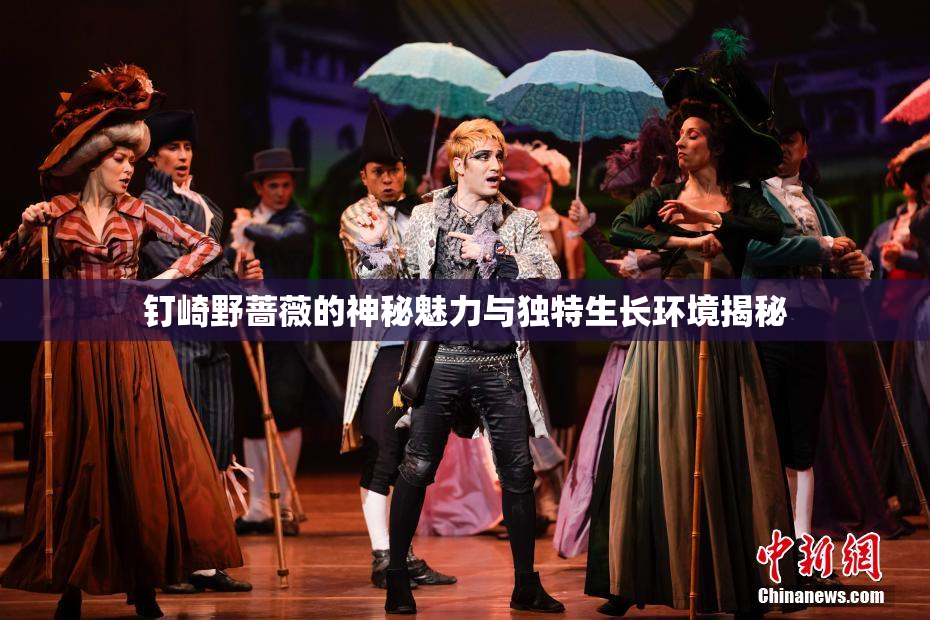 钉崎野蔷薇的神秘魅力与独特生长环境揭秘