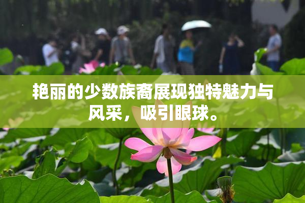 艳丽的少数族裔展现独特魅力与风采，吸引眼球。