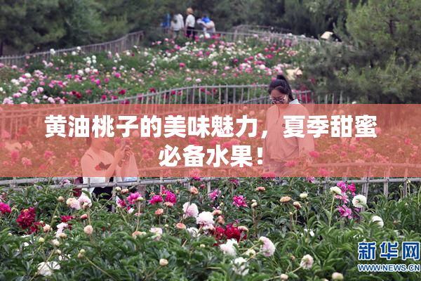 黄油桃子的美味魅力，夏季甜蜜必备水果！