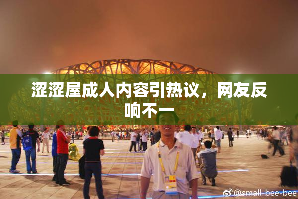 涩涩屋成人内容引热议，网友反响不一
