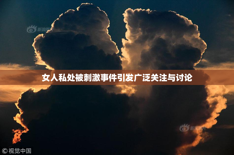 女人私处被刺激事件引发广泛关注与讨论