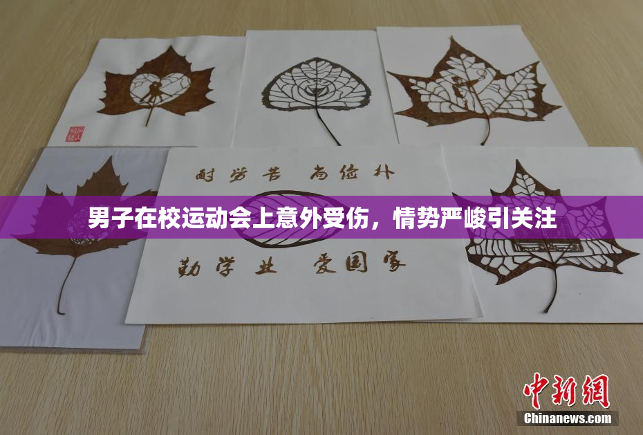 男子在校运动会上意外受伤，情势严峻引关注
