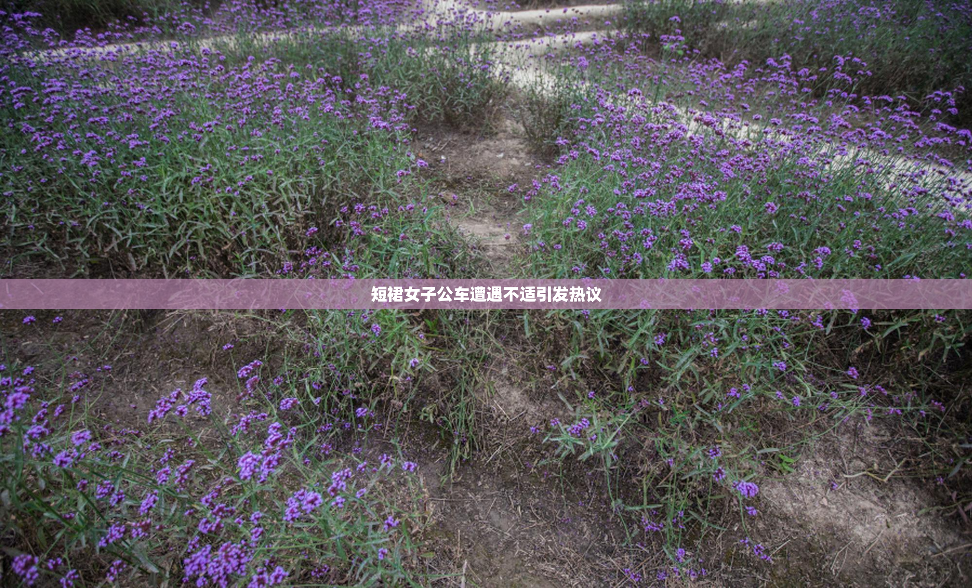 短裙女子公车遭遇不适引发热议