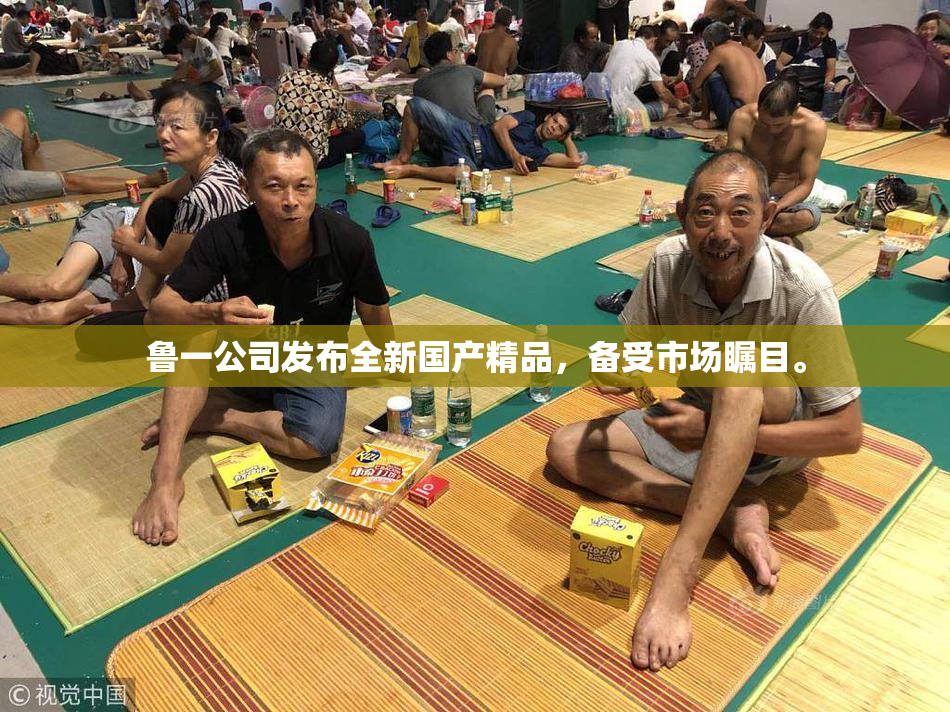 鲁一公司发布全新国产精品，备受市场瞩目。