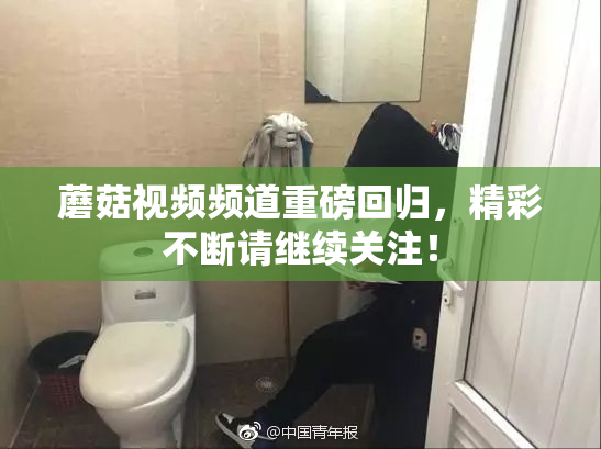 蘑菇视频频道重磅回归，精彩不断请继续关注！