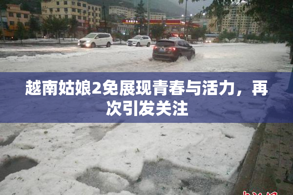 越南姑娘2免展现青春与活力，再次引发关注