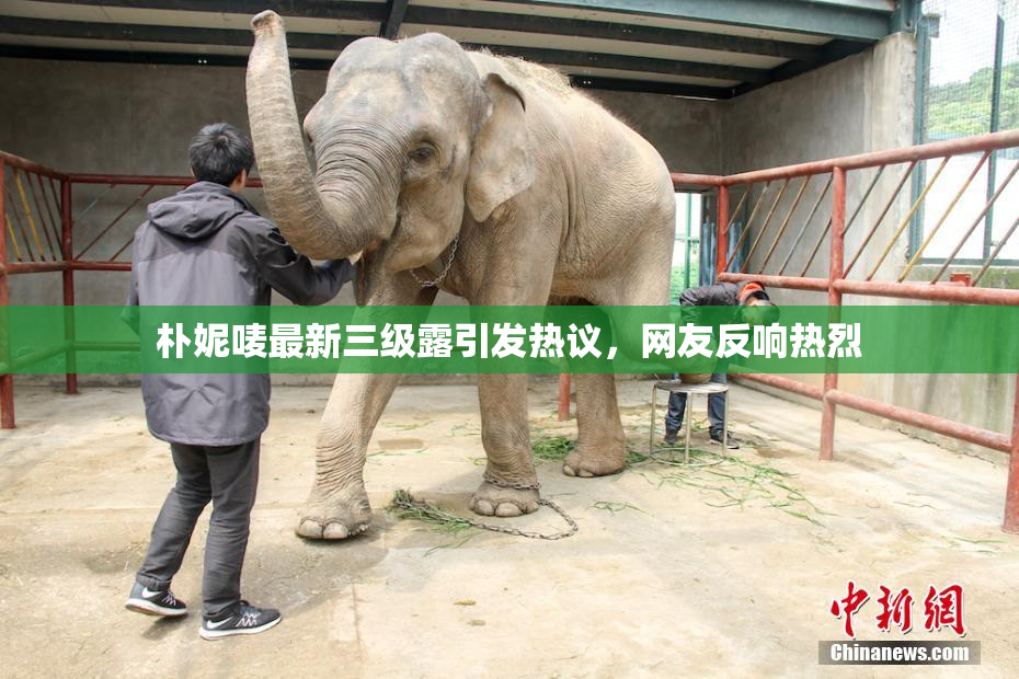 朴妮唛最新三级露引发热议，网友反响热烈