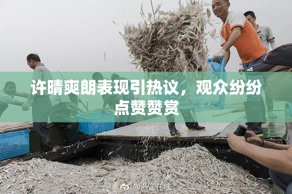 许晴爽朗表现引热议，观众纷纷点赞赞赏
