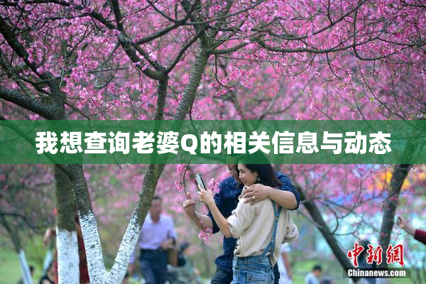 我想查询老婆Q的相关信息与动态