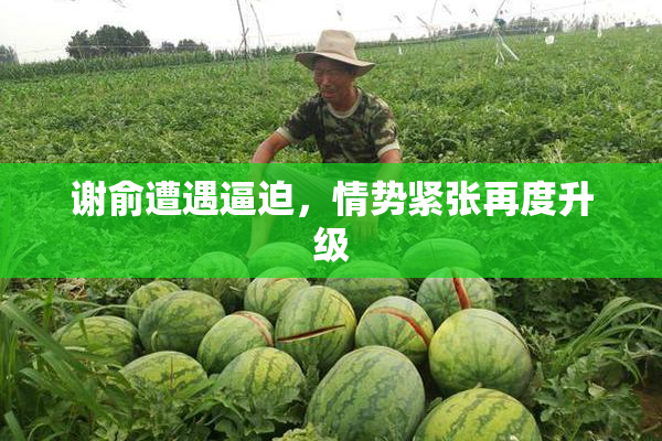 谢俞遭遇逼迫，情势紧张再度升级