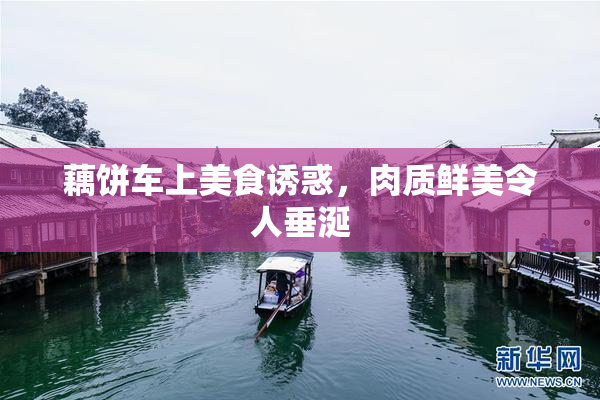 藕饼车上美食诱惑，肉质鲜美令人垂涎