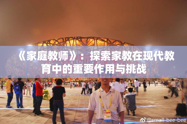 《家庭教师》：探索家教在现代教育中的重要作用与挑战