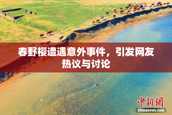 春野樱遭遇意外事件，引发网友热议与讨论