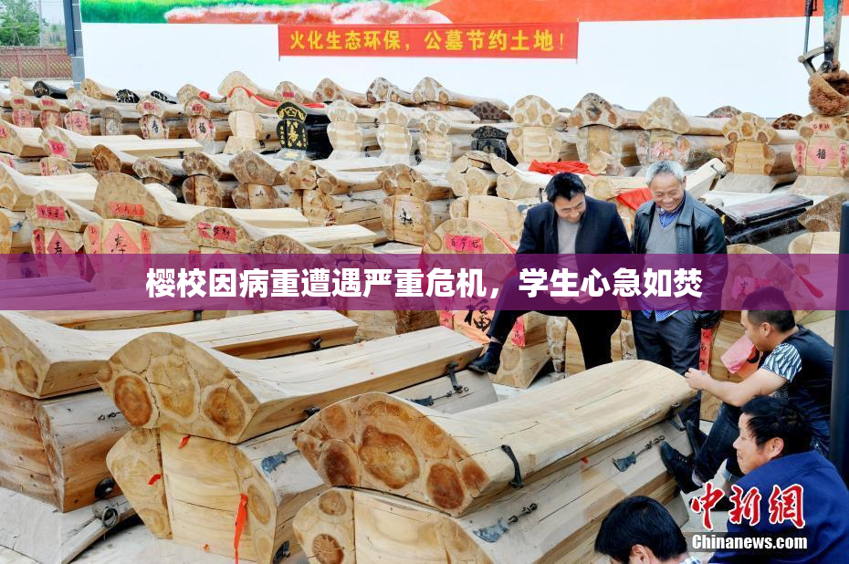 樱校因病重遭遇严重危机，学生心急如焚