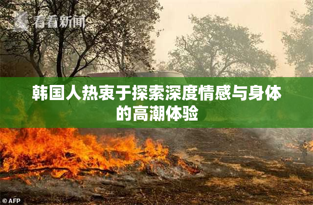 韩国人热衷于探索深度情感与身体的高潮体验