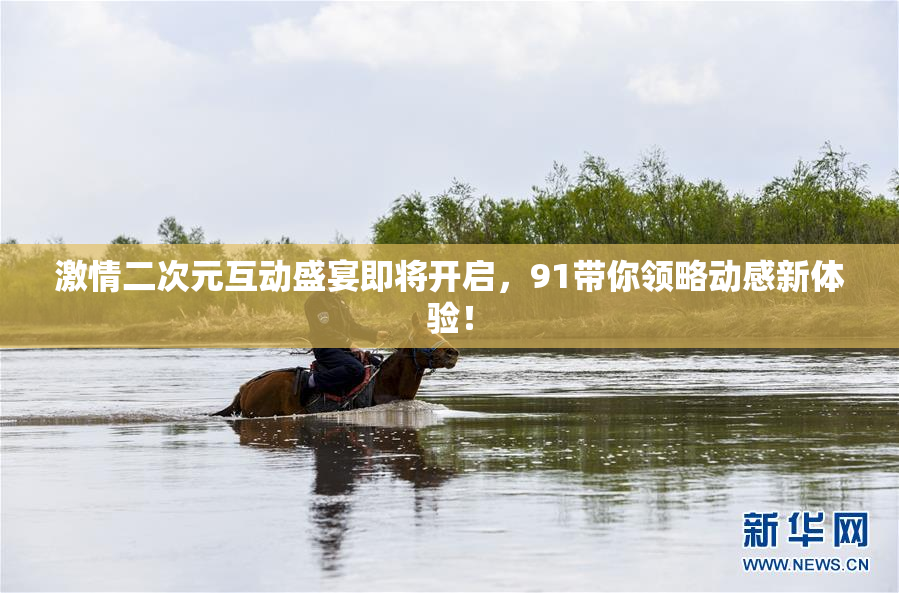激情二次元互动盛宴即将开启，91带你领略动感新体验！