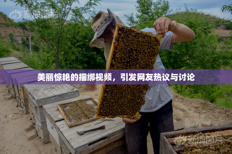 美丽惊艳的捆绑视频，引发网友热议与讨论