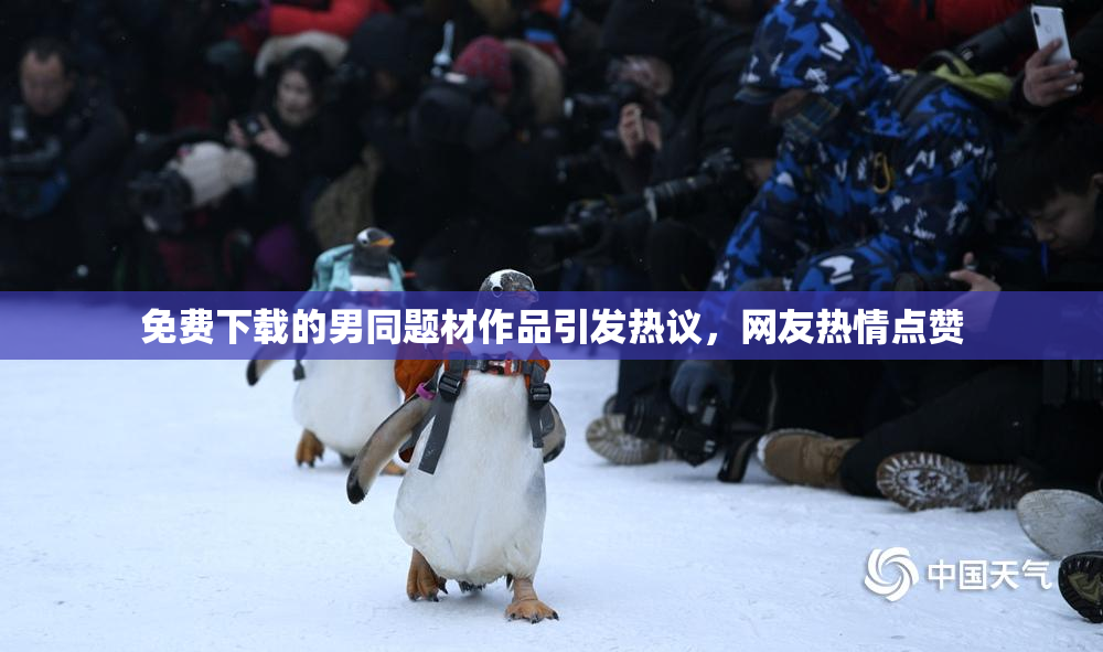 免费下载的男同题材作品引发热议，网友热情点赞