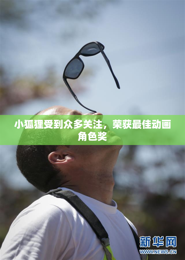 小狐狸受到众多关注，荣获最佳动画角色奖