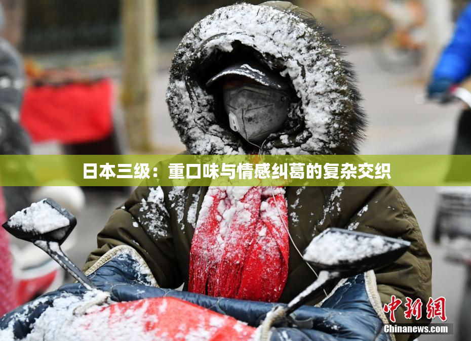 日本三级：重口味与情感纠葛的复杂交织
