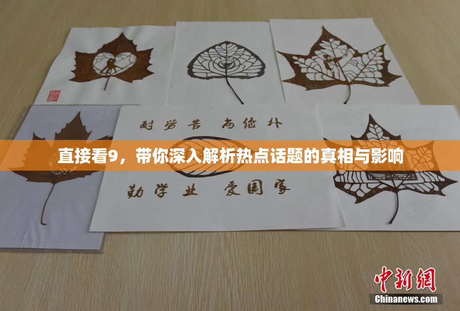 直接看9，带你深入解析热点话题的真相与影响