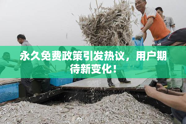 永久免费政策引发热议，用户期待新变化！