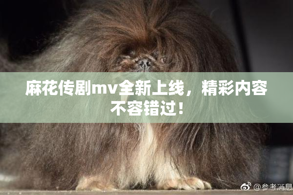 麻花传剧mv全新上线，精彩内容不容错过！