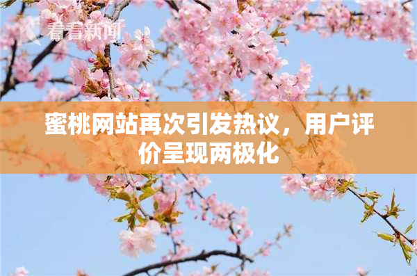 蜜桃网站再次引发热议，用户评价呈现两极化