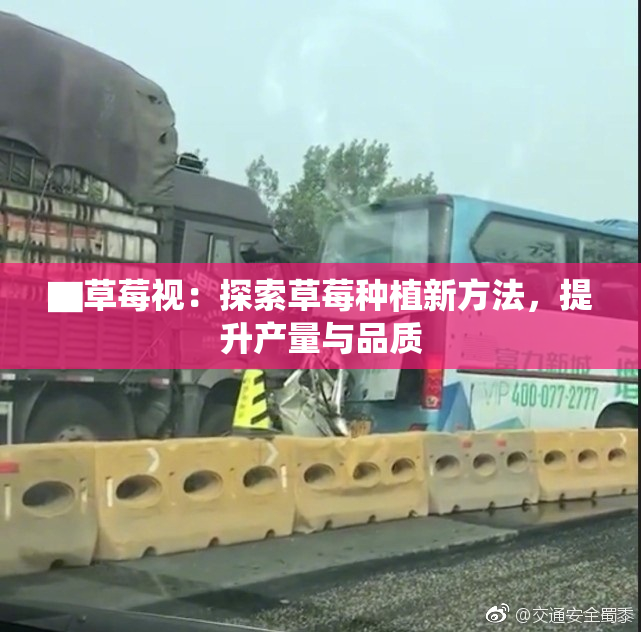 ▇草莓视：探索草莓种植新方法，提升产量与品质