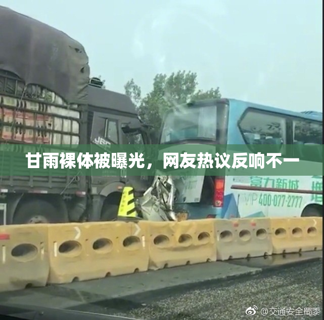甘雨裸体被曝光，网友热议反响不一