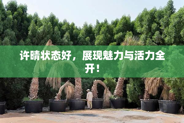 许晴状态好，展现魅力与活力全开！