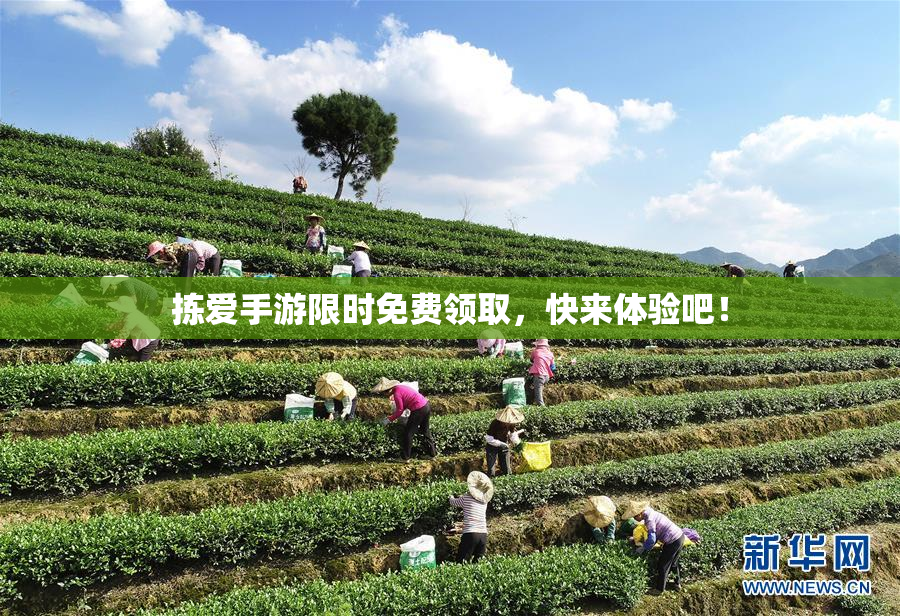拣爱手游限时免费领取，快来体验吧！