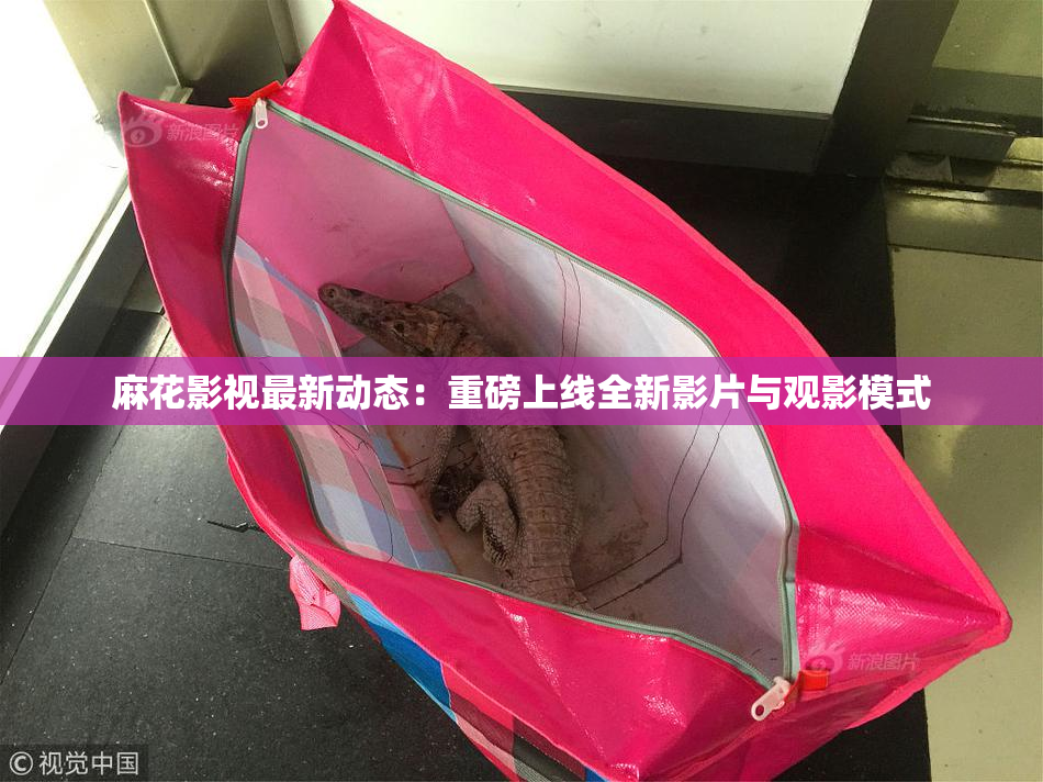 麻花影视最新动态：重磅上线全新影片与观影模式