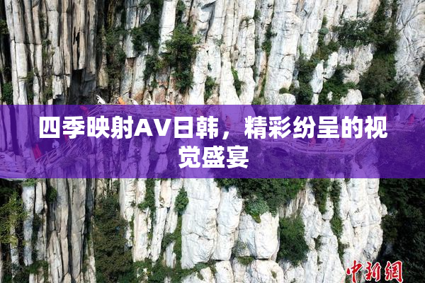 四季映射AV日韩，精彩纷呈的视觉盛宴