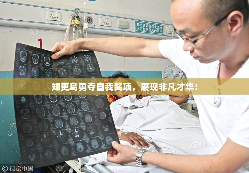 知更鸟勇夺自我奖项，展现非凡才华！