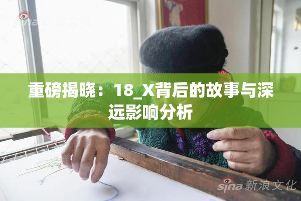 重磅揭晓：18_X背后的故事与深远影响分析