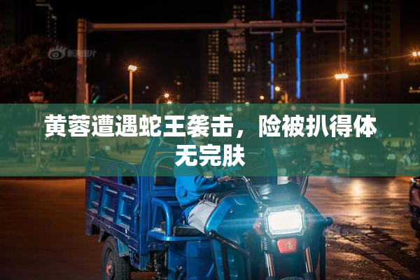 黄蓉遭遇蛇王袭击，险被扒得体无完肤