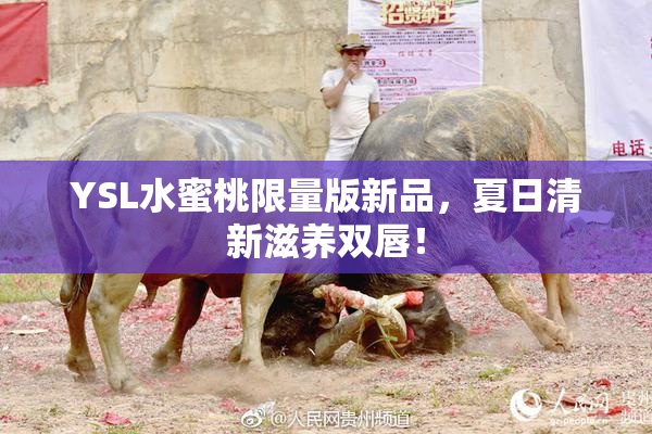 YSL水蜜桃限量版新品，夏日清新滋养双唇！