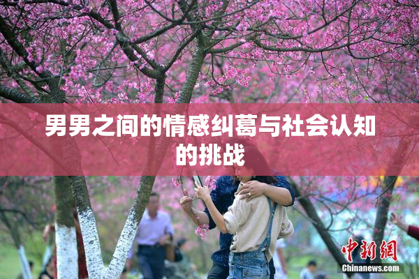 男男之间的情感纠葛与社会认知的挑战