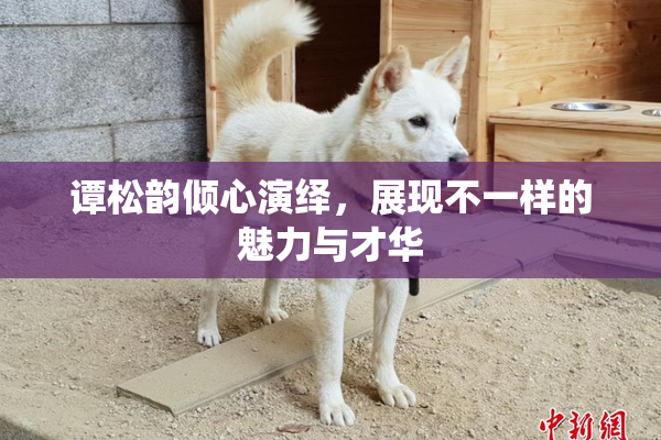 谭松韵倾心演绎，展现不一样的魅力与才华