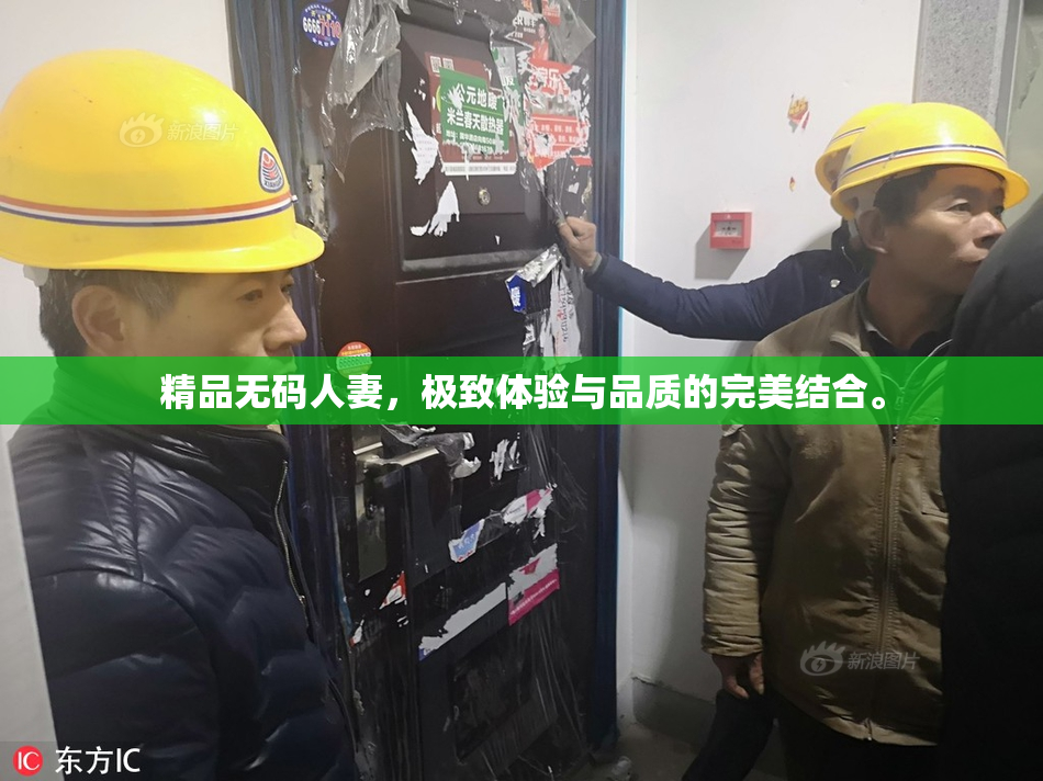 精品无码人妻，极致体验与品质的完美结合。