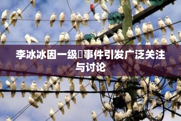 李冰冰因一级婬事件引发广泛关注与讨论