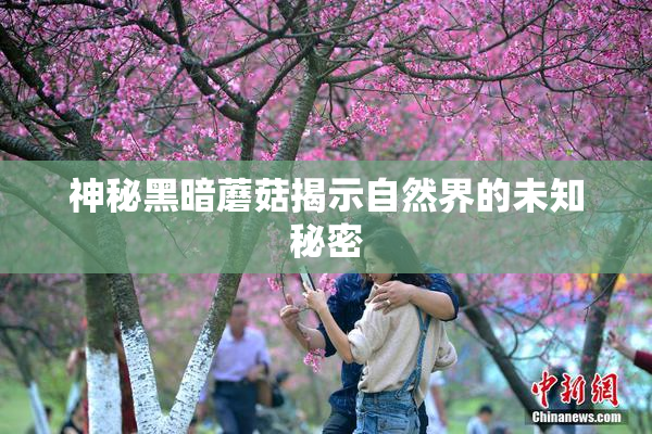 神秘黑暗蘑菇揭示自然界的未知秘密